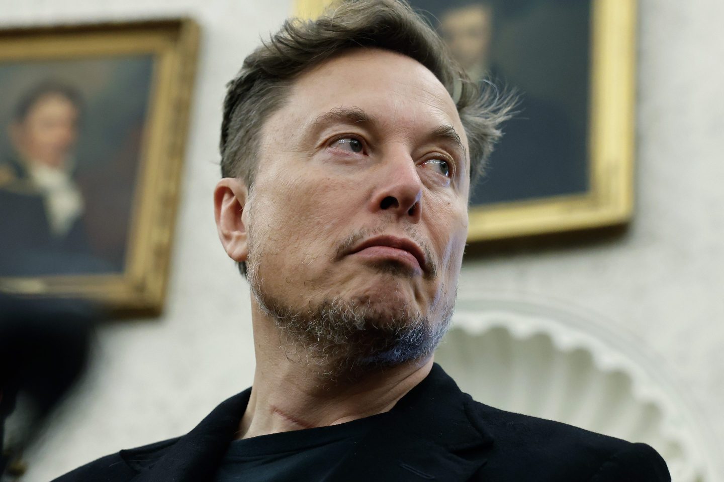 elon musk, trump administration, DOGE, government efficiency, tesla, spacex, federal spending, politics, news,
