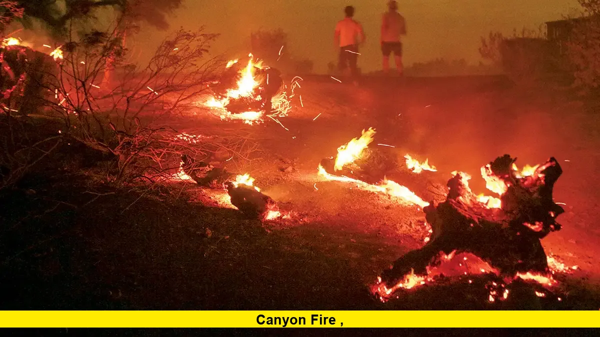 Canyon Fire